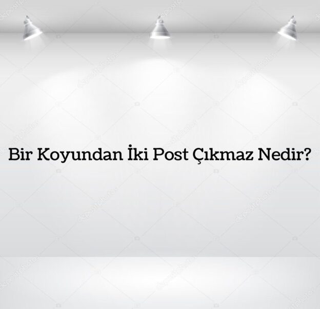 Bir Koyundan İki Post Çıkmaz Nedir? 10