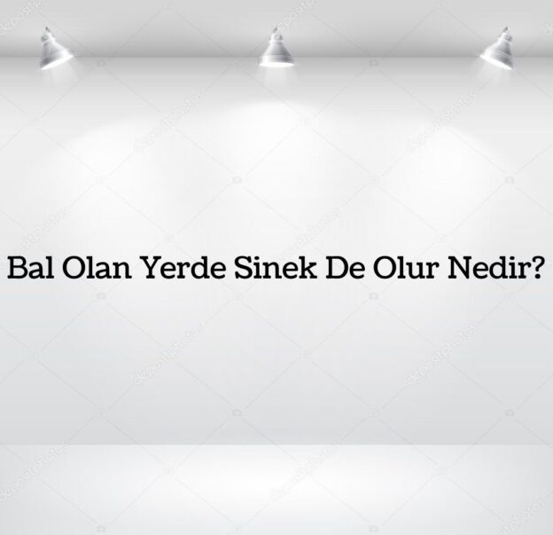 Bal Olan Yerde Sinek De Olur Nedir? 8