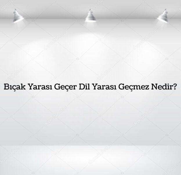 Bıçak Yarası Geçer Dil Yarası Geçmez Nedir? 1