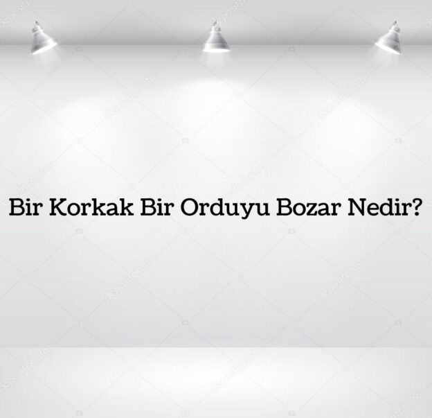 Bir Korkak Bir Orduyu Bozar Nedir? 4