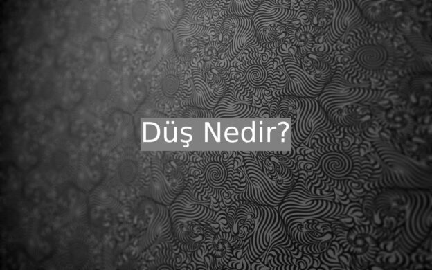 Düş Nedir? 1