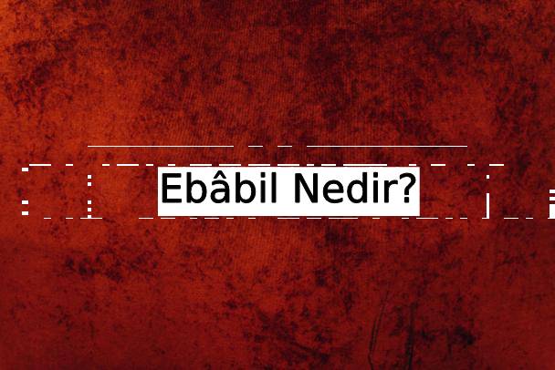 Ebâbil Nedir? 1