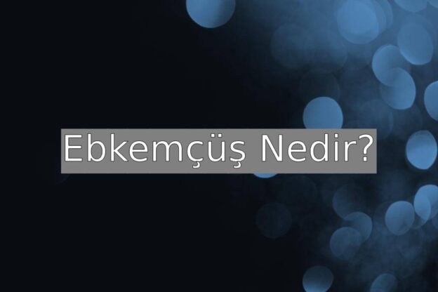 Ebkemçüş Nedir? 3