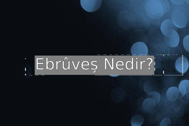 Ebrûveş Nedir? 1