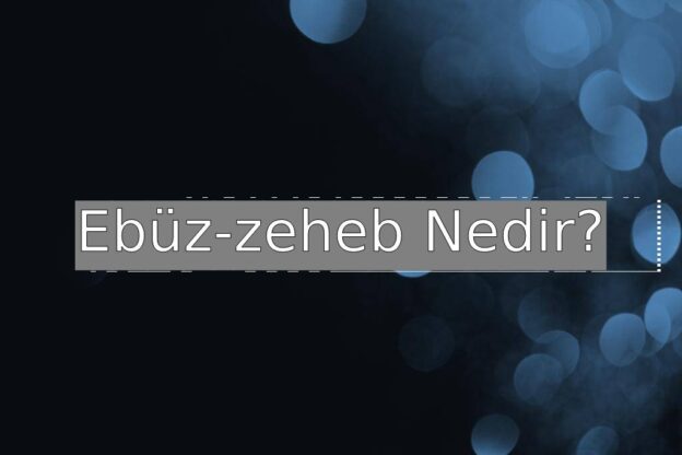 Ebüz-zeheb Nedir? 1