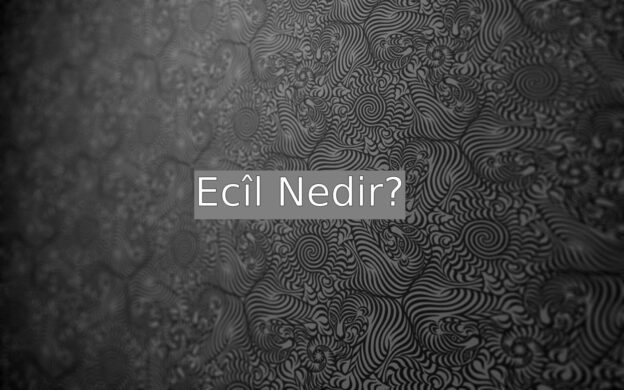 Ecîl Nedir? 1