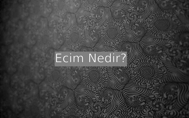 Ecim Nedir? 1