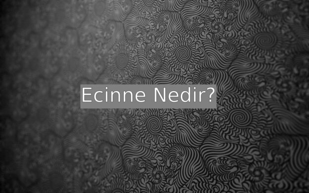 Ecinne Nedir? 1