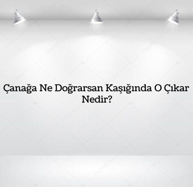 Çanağa Ne Doğrarsan Kaşığına O Çıkar Nedir? 6