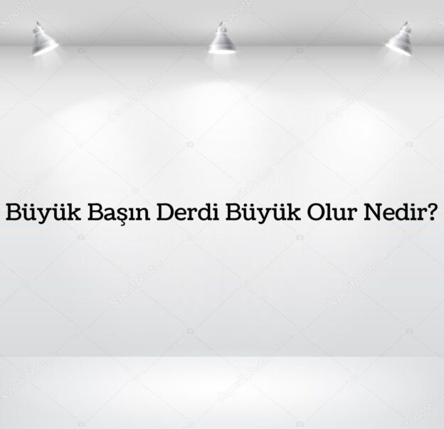 Büyük Başın Derdi Büyük Olur Nedir? 2
