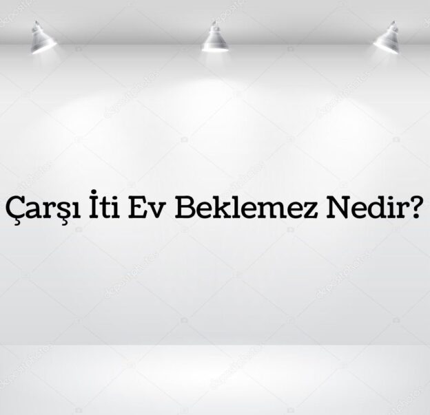 Çarşı İti Ev Beklemez Nedir? 1