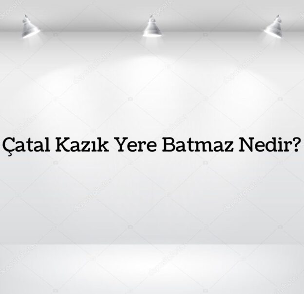 Çatal Kazık Yere Batmaz Nedir? 1