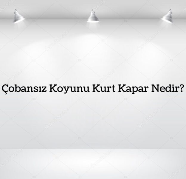 Çobansız Koyunu Kurt Kapar Nedir? 2