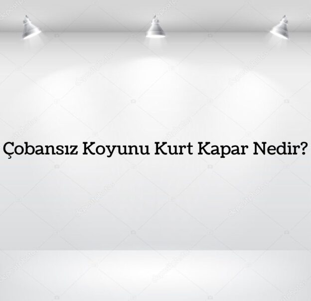 Çobansız Koyunu Kurt Kapar Nedir? 1