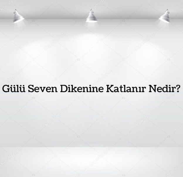 Gülü Seven Dikenine Katlanır Nedir? 1