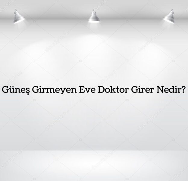 Güneş Girmeyen Eve Doktor Girer Nedir? 1