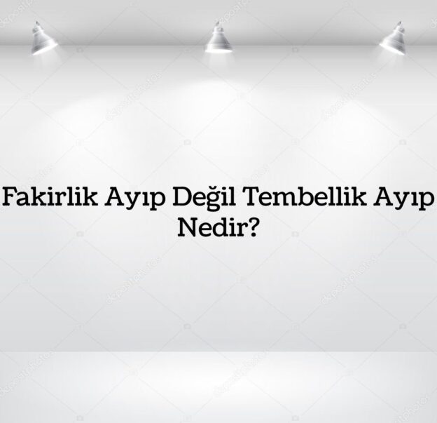 Fakirlik Ayıp Değil Tembellik Ayıp Nedir? 10