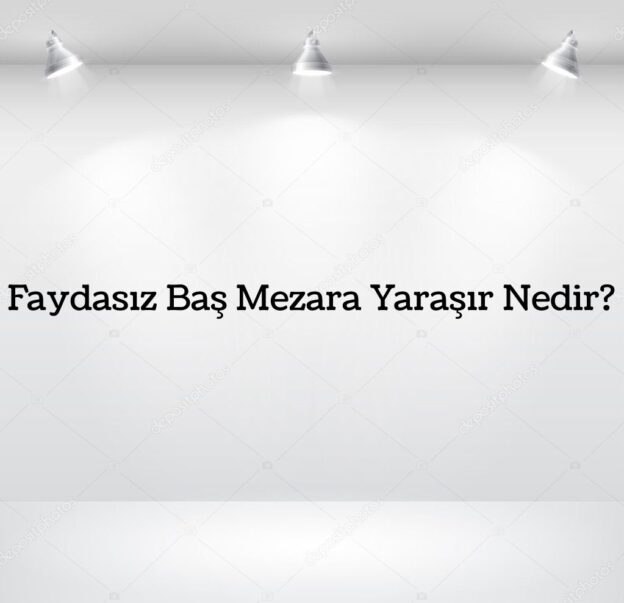 Faydasız Baş Mezara Yaraşır Nedir? 1