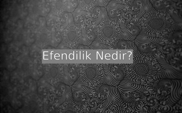 Efendilik Nedir? 1