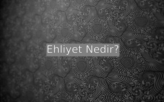 Ehliyet Nedir? 9