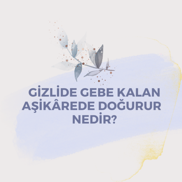 Gizlide Gebe Kalan Aşikârede Doğurur Nedir ? 7