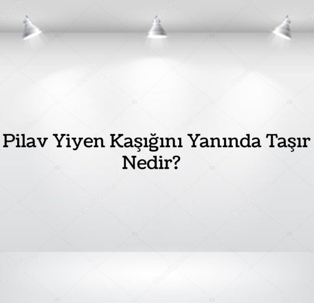 Pilav Yiyen Kaşığını Yanında Taşır Nedir? 7