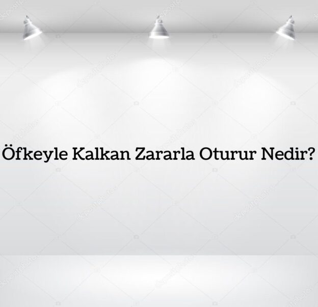 Öfkeyle Kalkan Zararla Oturur Nedir? 1