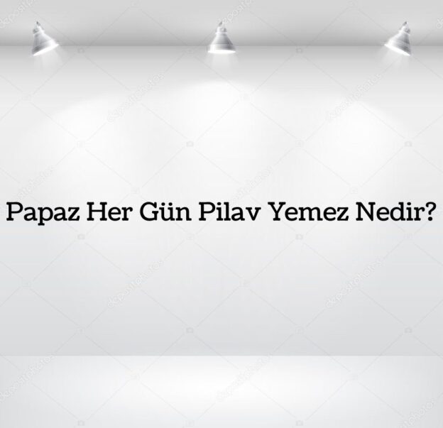 Papaz Her Gün Pilav Yemez Nedir? 1