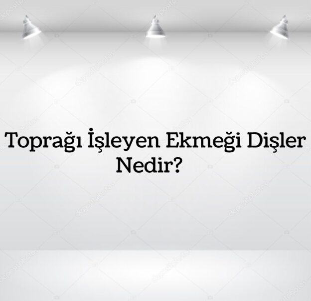 Toprağı İşleyen Ekmeği Dişler Nedir? 9