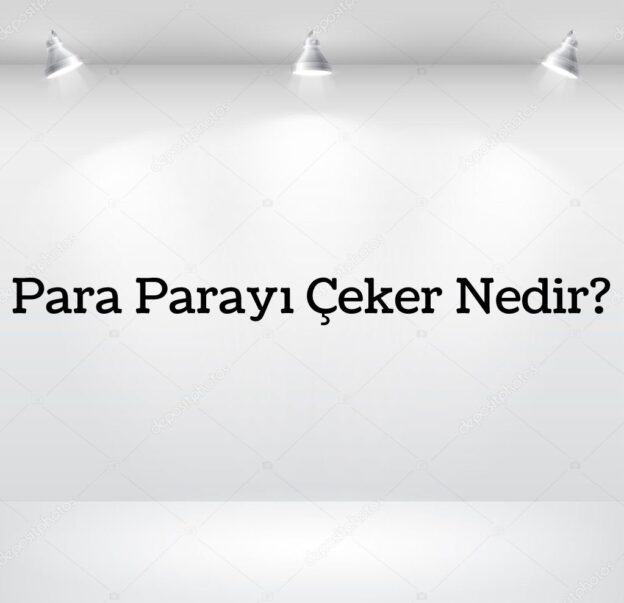 Para Parayı Çeker Nedir? 1