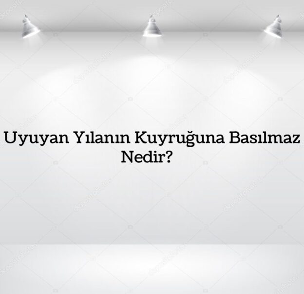 Uyuyan Yılanın Kuyruğuna Basılmaz Nedir? 1