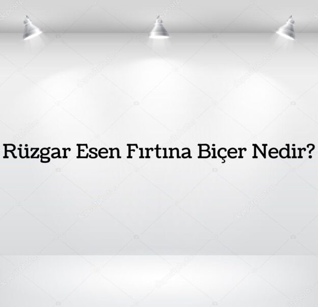 Rüzgar Eken Fırtına Biçer Nedir? 6