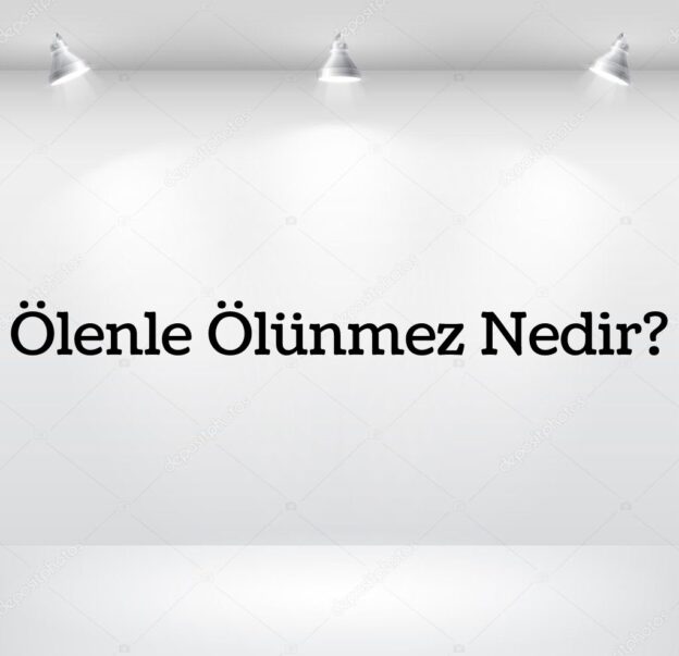 Ölenle Ölünmez Nedir? 3