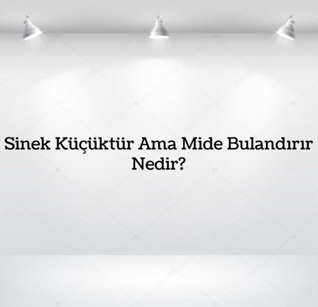 Sinek Küçüktür Ama Mide Bulandırır Nedir? 1