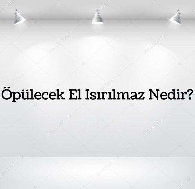 Öpülecek El Isırılmaz Nedir? 2