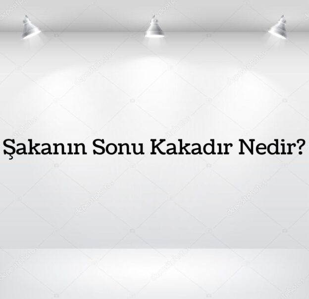 Şakanın Sonu Kakadır Nedir? 3