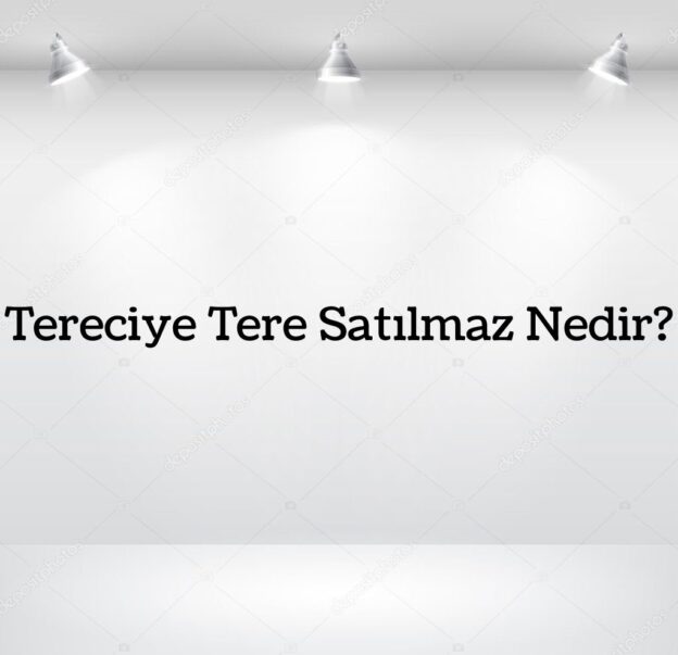 Tereciye Tere Satılmaz Nedir? 3