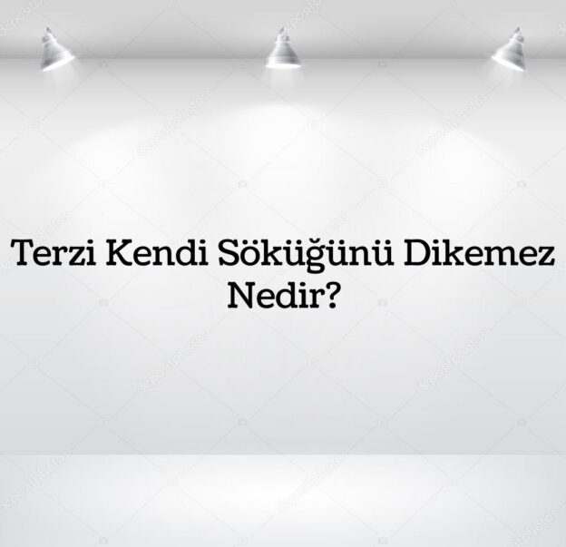 Terzi Kendi Söküğünü Dikemez Nedir? 1