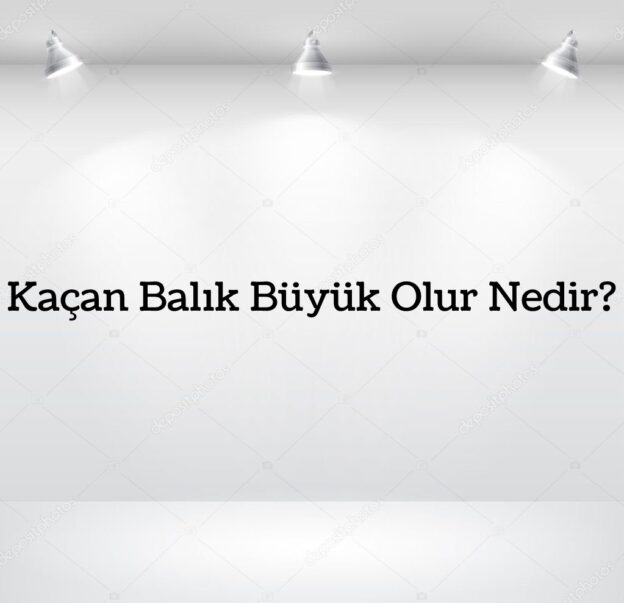 Kaçan Balık Büyük Olur Nedir? 1