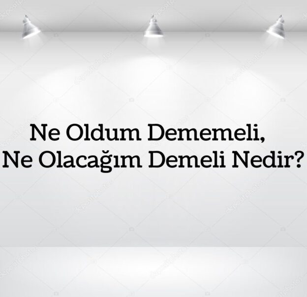 Ne Oldum Dememeli, Ne Olacağım Demeli Nedir? 1