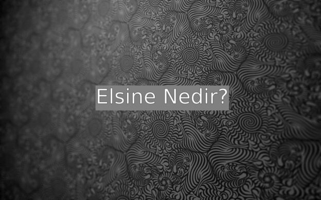 Elsine Nedir? 1