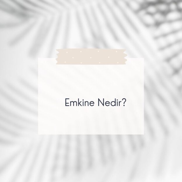 Emkine Nedir? 1