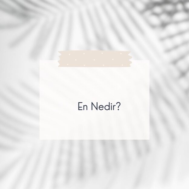 En Nedir? 1