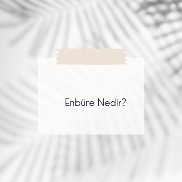 Enbüre Nedir? 1