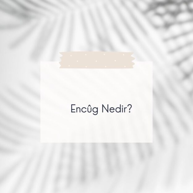 Encûg Nedir? 2