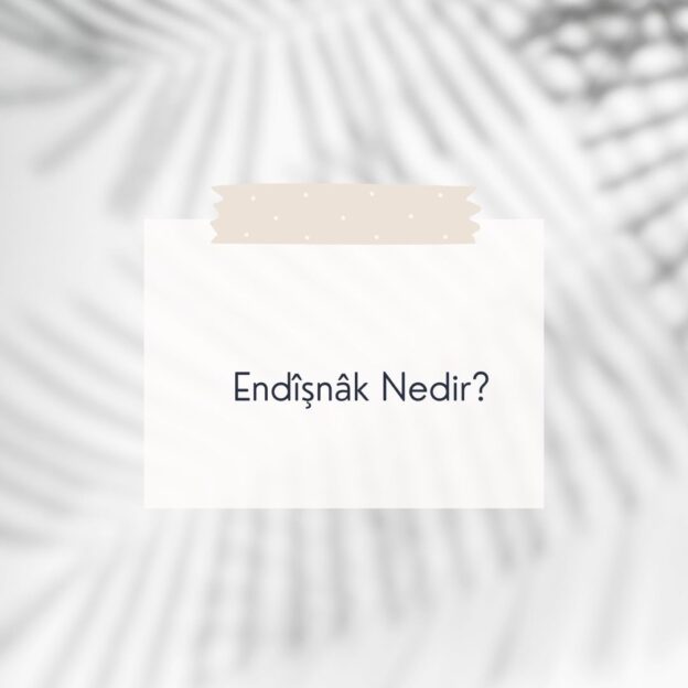 Endîşnâk Nedir? 1