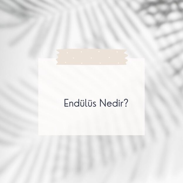 Endülüs Nedir? 4