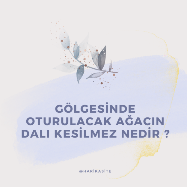 Gölgesinde oturulacak ağacın dalı kesilmez nedir ? 4