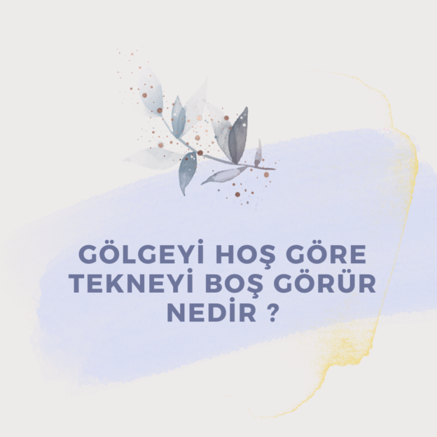 Gölgeyi hoş göre tekneyi boş görür nedir ? 10