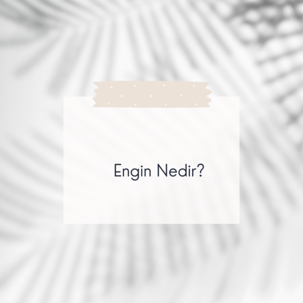 Engin Nedir? 2